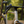 Load image into Gallery viewer, Altera G21 DB Gravel Bike Frameset