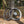 Load image into Gallery viewer, SAT C45 DB Pro NxT Gravel