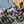 Load image into Gallery viewer, R12 DB Disc Brake Bike Frameset