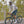 Load and play video in Gallery viewer, R12 DB Disc Brake Bike Frameset