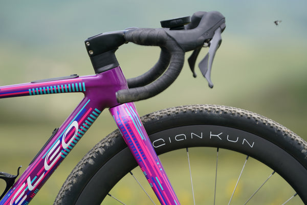 Altera G21 DB Gravel Bike Frameset Panda Podium Purple