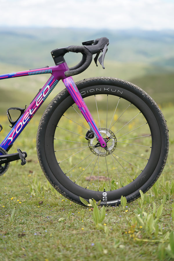Altera G21 DB Gravel Bike Frameset Panda Podium Purple