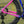 Load image into Gallery viewer, Altera G21 DB Gravel Bike Frameset Panda Podium Purple

