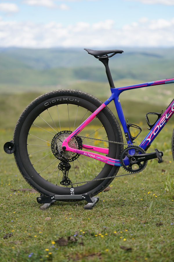 Altera G21 DB Gravel Bike Frameset Panda Podium Purple