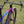 Load image into Gallery viewer, Altera G21 DB Gravel Bike Frameset Panda Podium Purple
