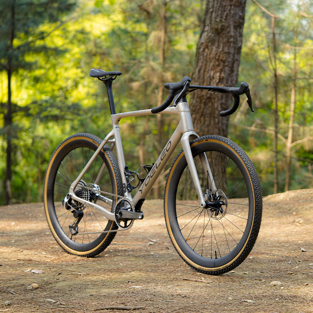 Altera G21 DB Gravel Bike Frameset