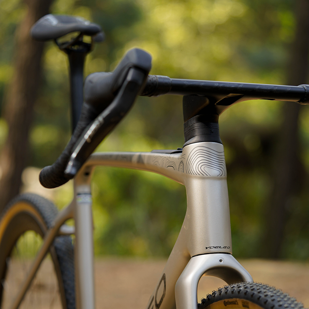 Altera G21 DB Gravel Bike Frameset