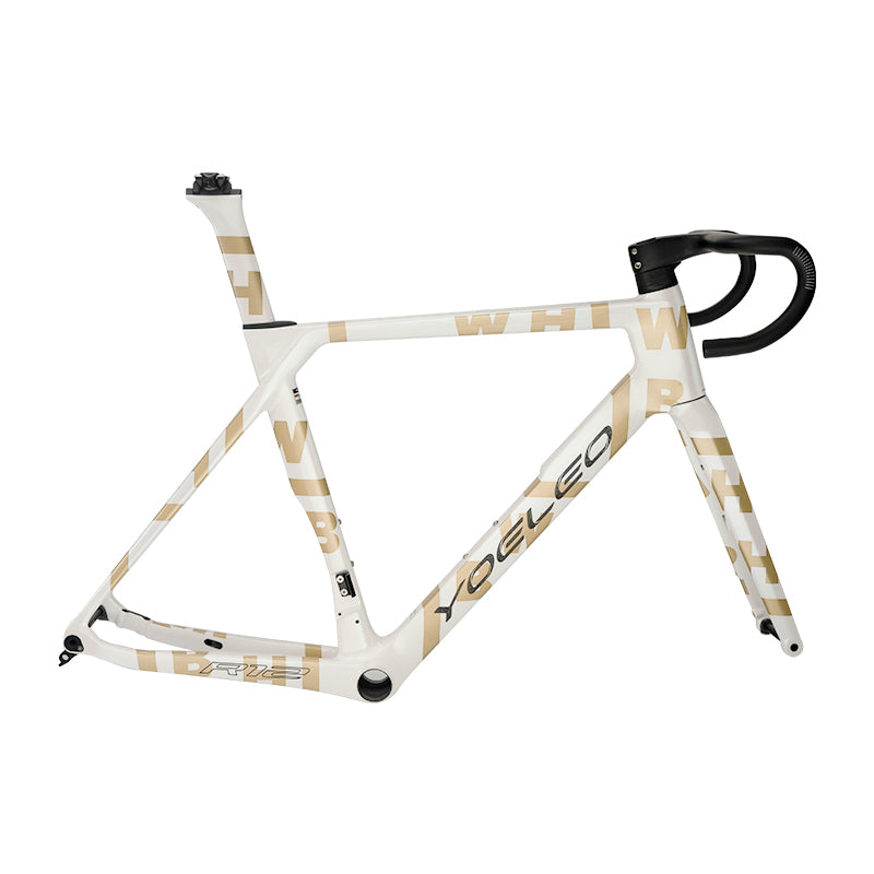 R12 DB Disc Brake Bike Frameset