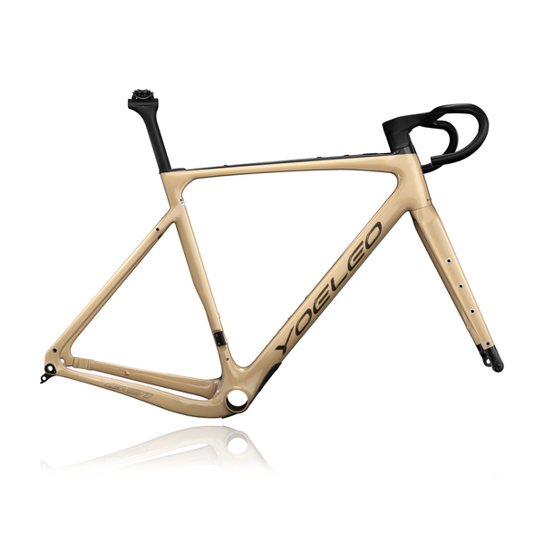 Carbon Gravel Frame