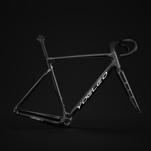 G21 FRAMESET-Classic Painting Service (Customization)