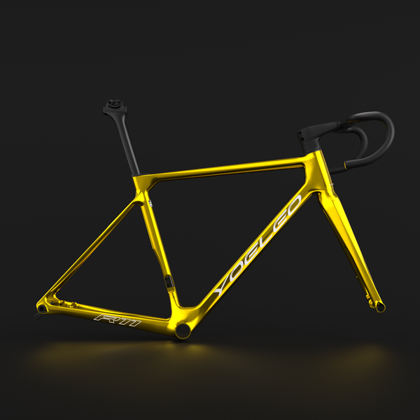 R11 FRAMESET-Classic Painting(Customization)