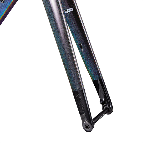 R12 DB Fork