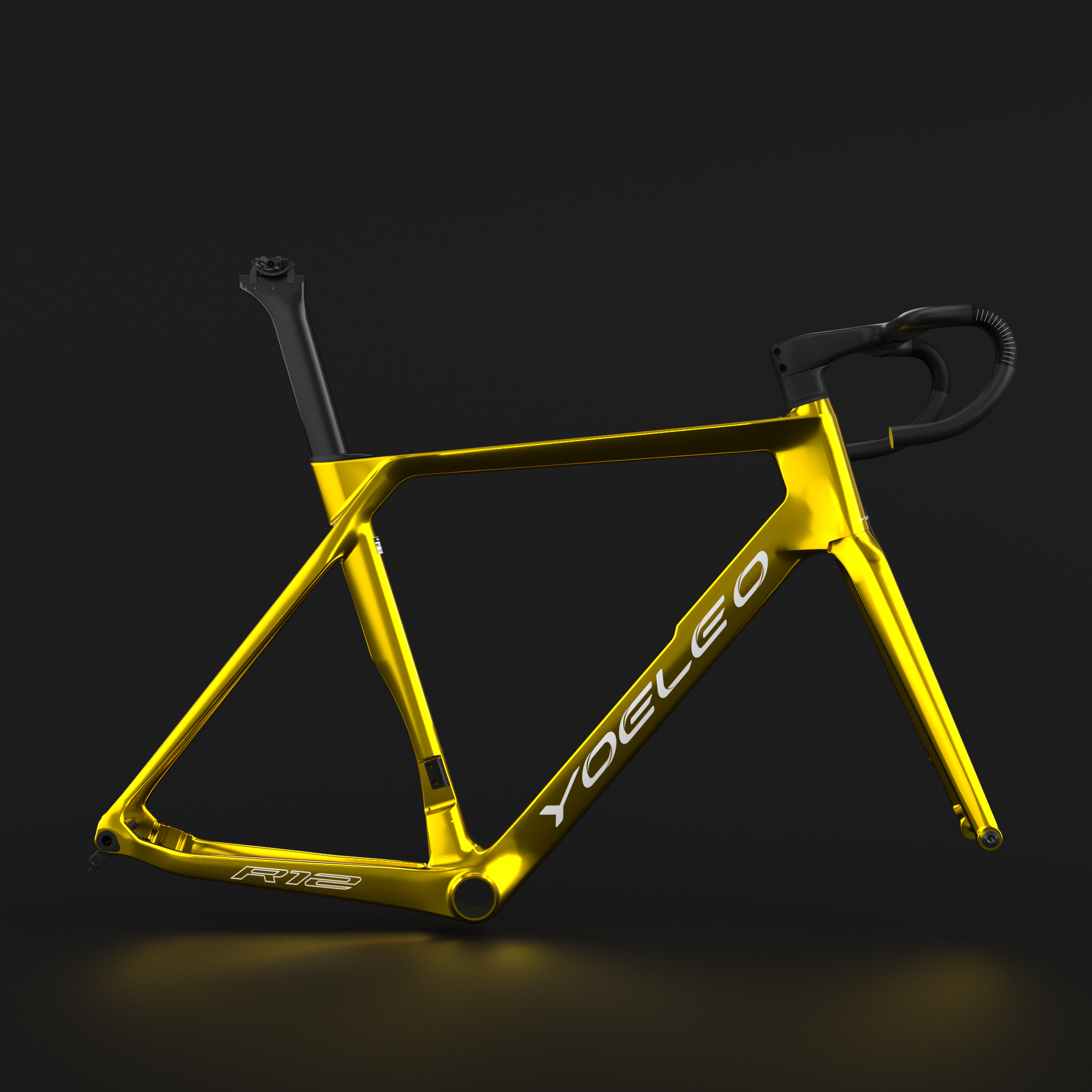 R12 FRAMESET-Classic Painting Service (Customization) – YoeleoEurope