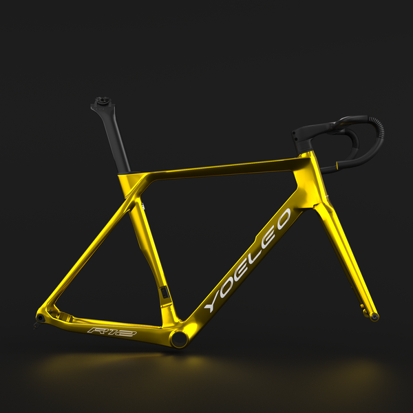 R12 FRAMESET-Classic Painting(Customization)