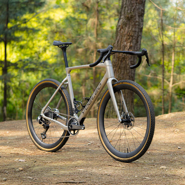 Altera G21 DB Gravel Bike Frameset Champagne