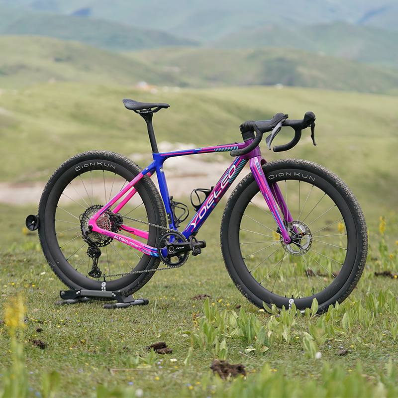 Altera G21 DB Gravel Bike Frameset Panda Podium Purple – YoeleoEurope